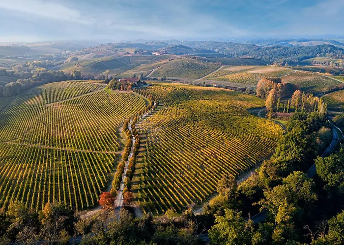 Tenuta La Meirana Gavi